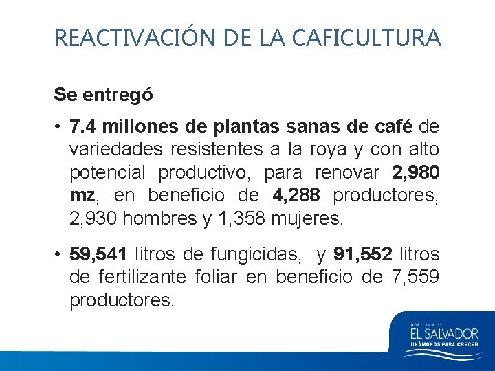 REACTIVACIÓN DE LA CAFICULTURA Se entregó • 7. 4 millones de plantas sanas de