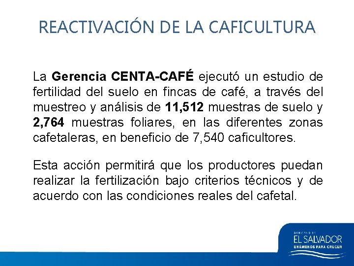 REACTIVACIÓN DE LA CAFICULTURA La Gerencia CENTA-CAFÉ ejecutó un estudio de fertilidad del suelo