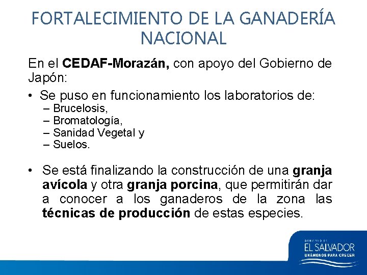 FORTALECIMIENTO DE LA GANADERÍA NACIONAL En el CEDAF-Morazán, con apoyo del Gobierno de Japón: