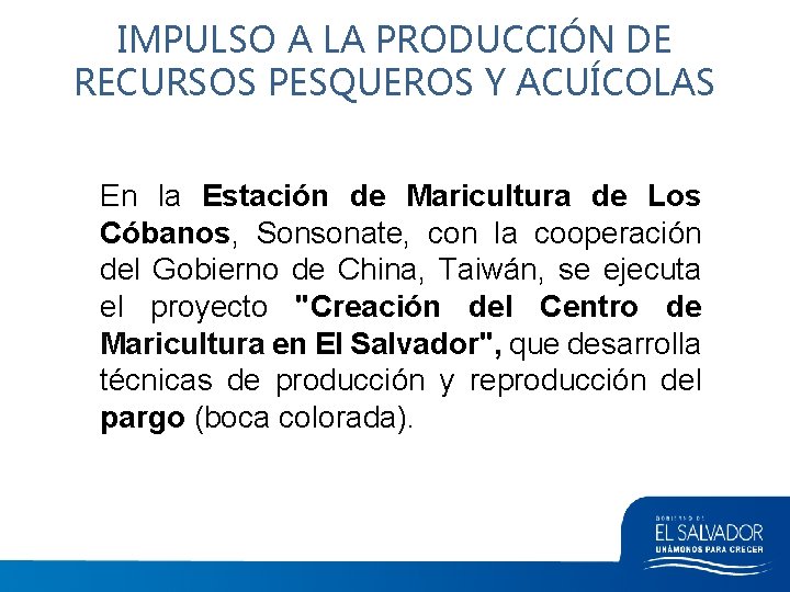 IMPULSO A LA PRODUCCIÓN DE RECURSOS PESQUEROS Y ACUÍCOLAS En la Estación de Maricultura