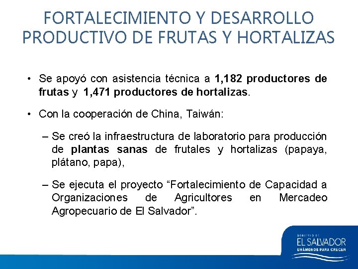 FORTALECIMIENTO Y DESARROLLO PRODUCTIVO DE FRUTAS Y HORTALIZAS • Se apoyó con asistencia técnica