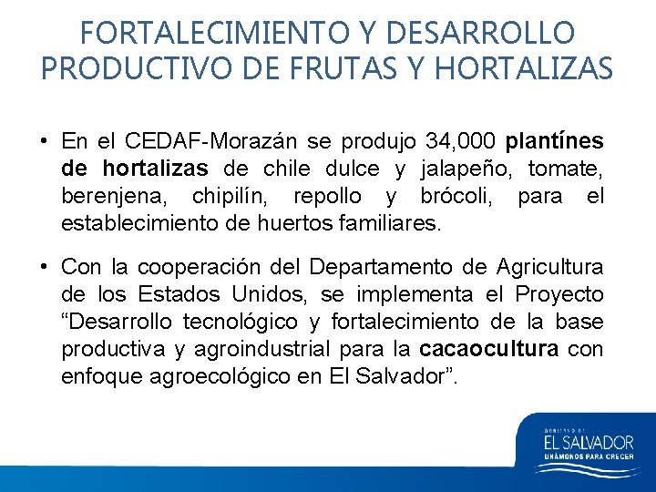FORTALECIMIENTO Y DESARROLLO PRODUCTIVO DE FRUTAS Y HORTALIZAS • En el CEDAF-Morazán se produjo