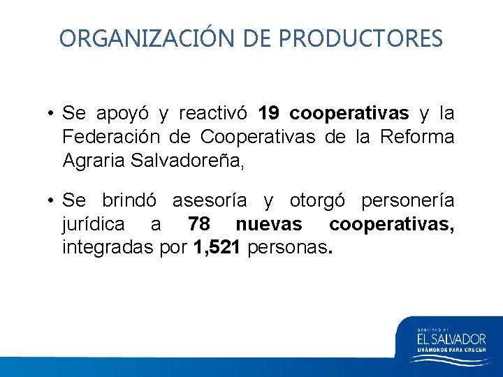 ORGANIZACIÓN DE PRODUCTORES • Se apoyó y reactivó 19 cooperativas y la Federación de