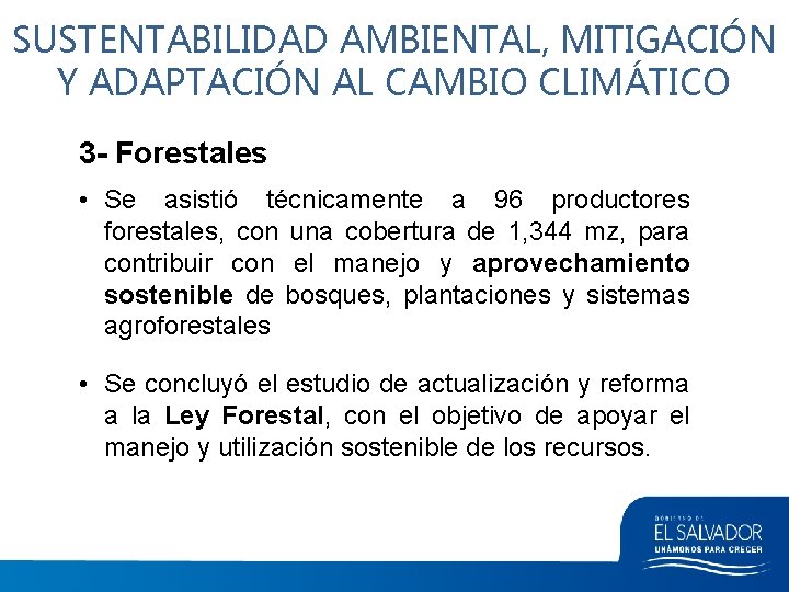 SUSTENTABILIDAD AMBIENTAL, MITIGACIÓN Y ADAPTACIÓN AL CAMBIO CLIMÁTICO 3 - Forestales • Se asistió