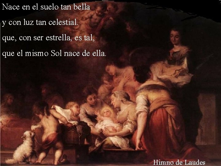 Nace en el suelo tan bella y con luz tan celestial. que, con ser