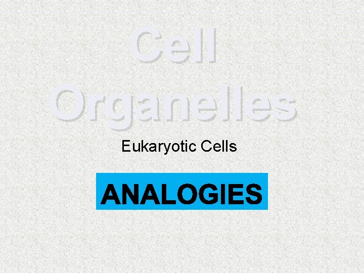 Cell Organelles Eukaryotic Cells 