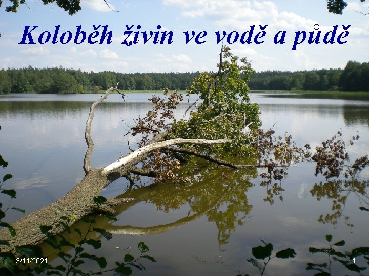 Koloběh živin ve vodě a půdě 3/11/2021 1 