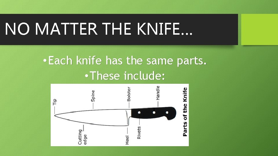 NO MATTER THE KNIFE… • Each knife has the same parts. • These include: