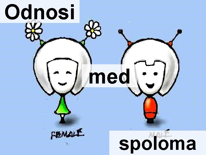 Odnosi med spoloma 