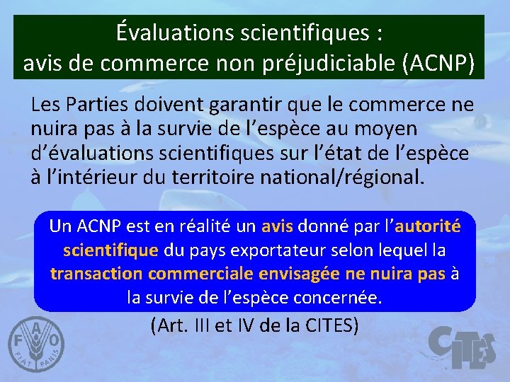 Évaluations scientifiques : avis de commerce non préjudiciable (ACNP) Les Parties doivent garantir que