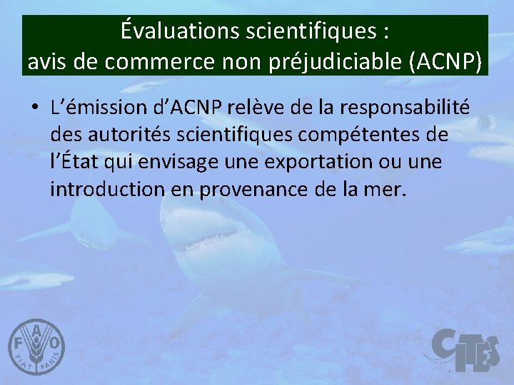 Évaluations scientifiques : avis de commerce non préjudiciable (ACNP) • L’émission d’ACNP relève de