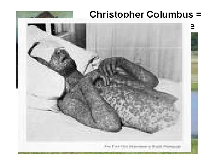 Christopher Columbus = Columbian Exchange 