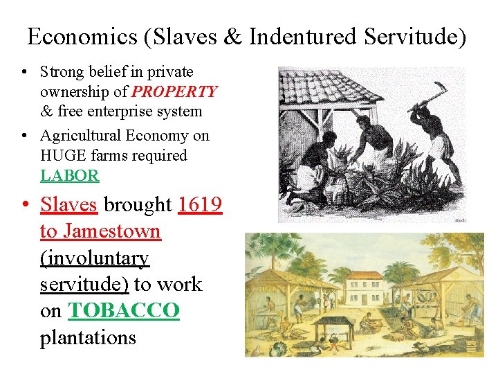 Economics (Slaves & Indentured Servitude) • Strong belief in private ownership of PROPERTY &