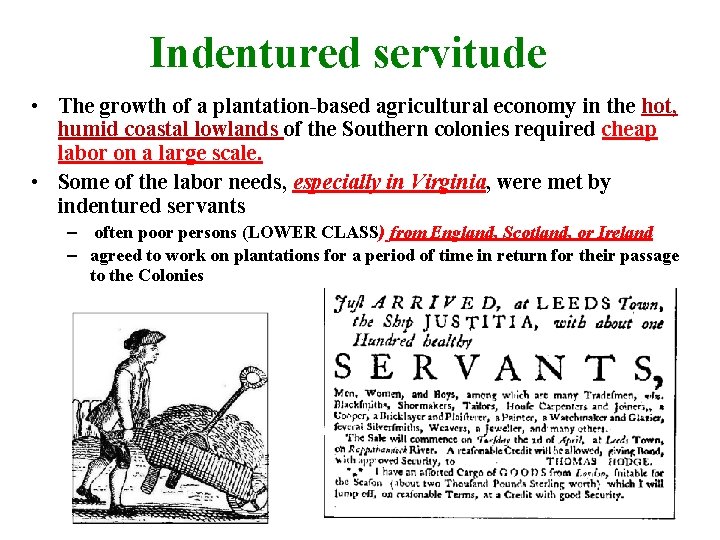 Indentured servitude • The growth of a plantation-based agricultural economy in the hot, humid