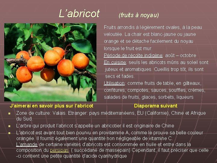 L’abricot (fruits à noyau) Fruits arrondis à Iégèrement ovales, à la peau veloutée. La
