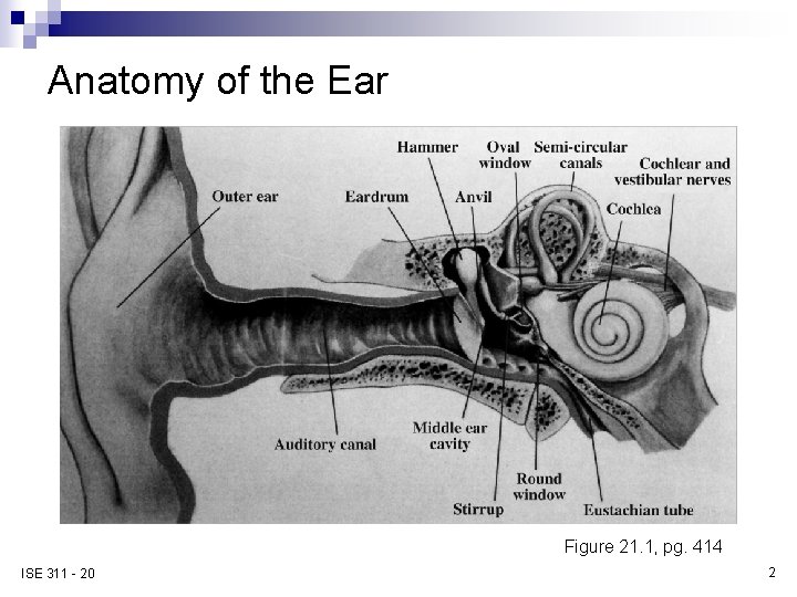 Anatomy of the Ear Figure 21. 1, pg. 414 ISE 311 - 20 2