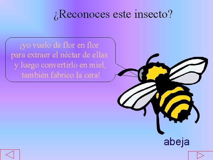 ¿Reconoces este insecto? ¡yo vuelo de flor en flor para extraer el néctar de