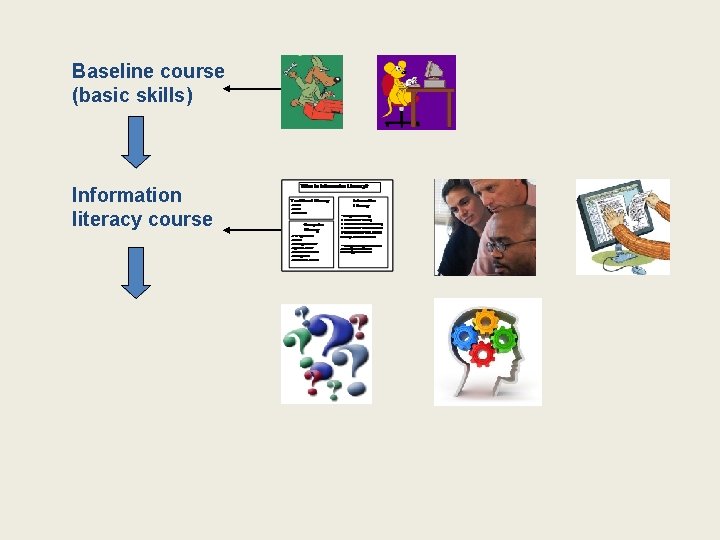 Baseline course (basic skills) Information literacy course 