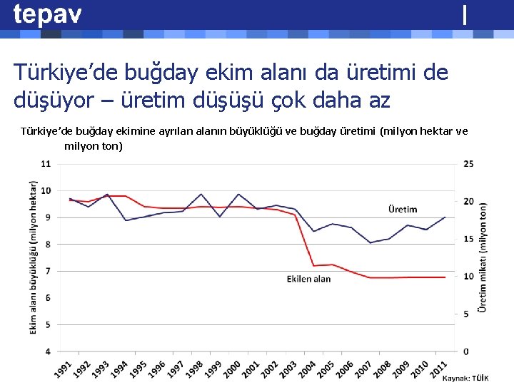 Türkiye’de buğday ekim alanı da üretimi de düşüyor – üretim düşüşü çok daha az