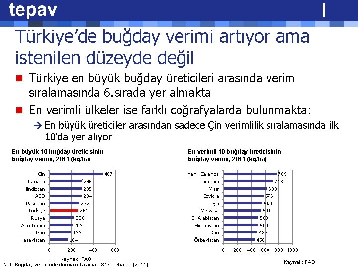 Türkiye’de buğday verimi artıyor ama istenilen düzeyde değil n Türkiye en büyük buğday üreticileri