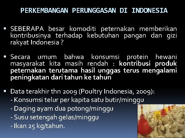 PERKEMBANGAN PERUNGGASAN DI INDONESIA SEBERAPA besar komoditi peternakan memberikan kontribusinya terhadap kebutuhan pangan dan