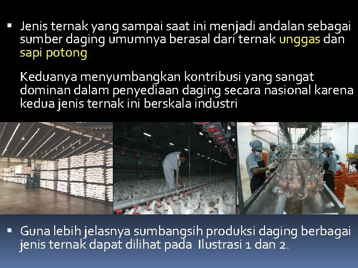  Jenis ternak yang sampai saat ini menjadi andalan sebagai sumber daging umumnya berasal