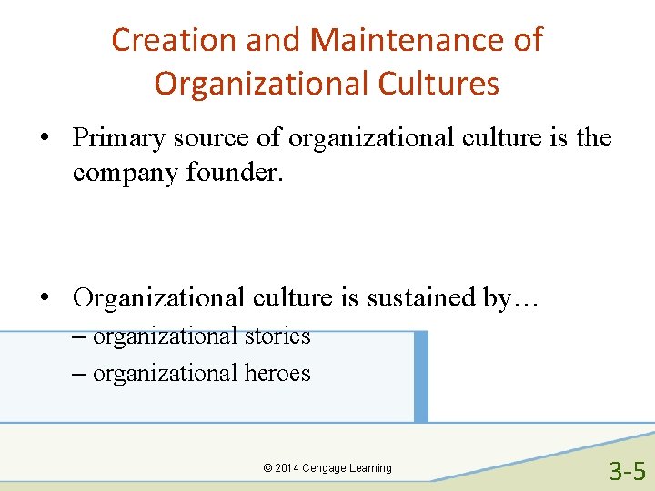 Creation and Maintenance of Organizational Cultures • Primary source of organizational culture is the