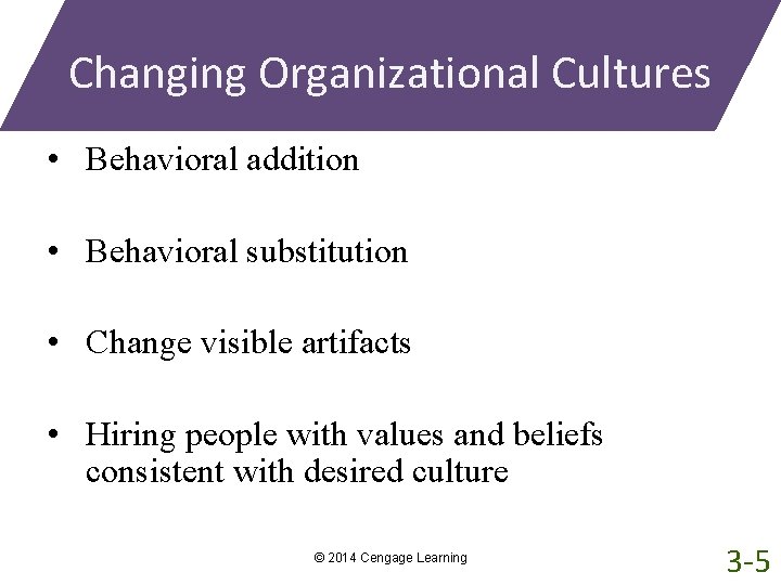 Changing Organizational Cultures • Behavioral addition • Behavioral substitution • Change visible artifacts •