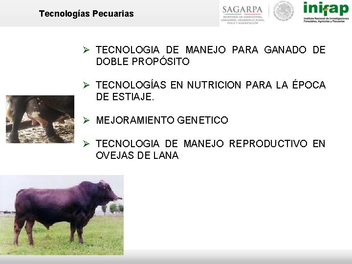 Tecnologías Pecuarias Ø TECNOLOGIA DE MANEJO PARA GANADO DE DOBLE PROPÓSITO Ø TECNOLOGÍAS EN