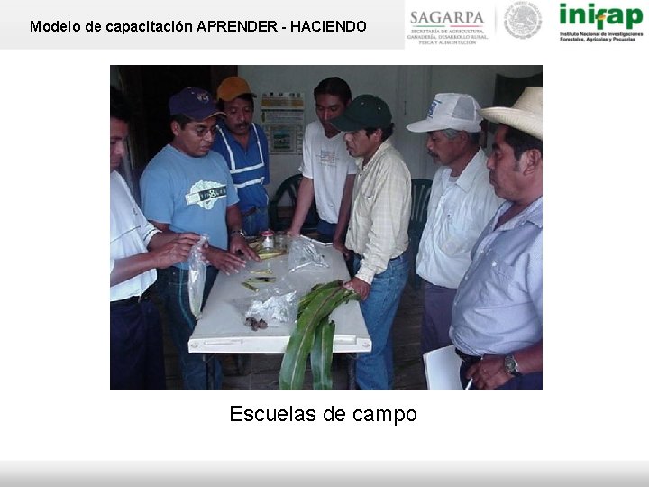 Modelo de capacitación APRENDER - HACIENDO Escuelas de campo 