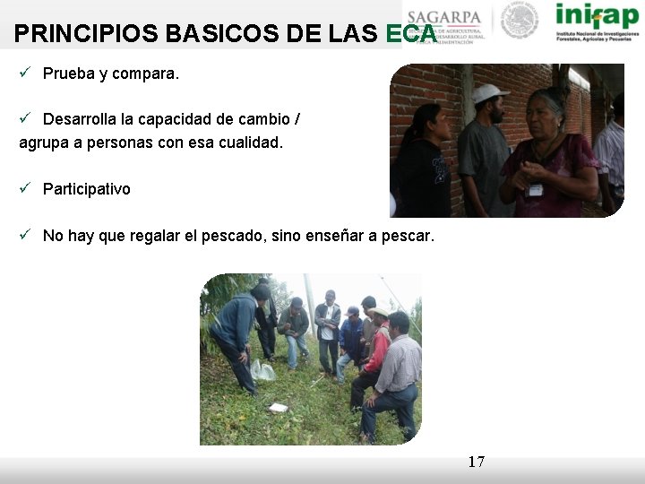 PRINCIPIOS BASICOS DE LAS ECA Prueba y compara. Desarrolla la capacidad de cambio /