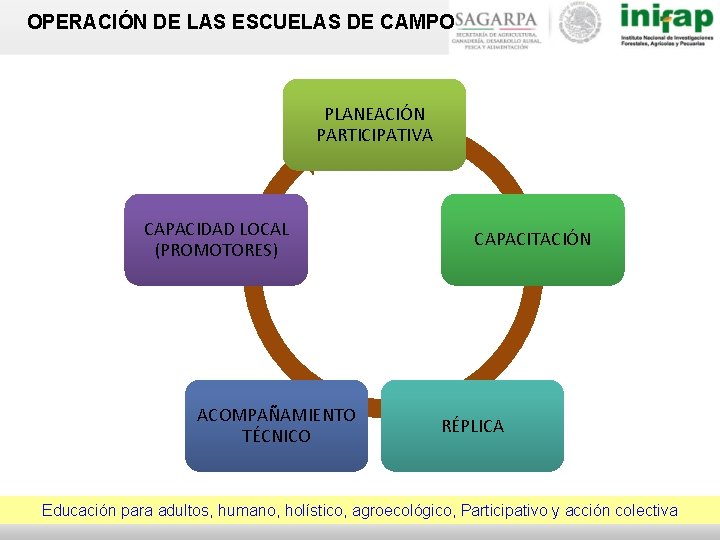OPERACIÓN DE LAS ESCUELAS DE CAMPO PLANEACIÓN PARTICIPATIVA CAPACIDAD LOCAL (PROMOTORES) ACOMPAÑAMIENTO TÉCNICO CAPACITACIÓN