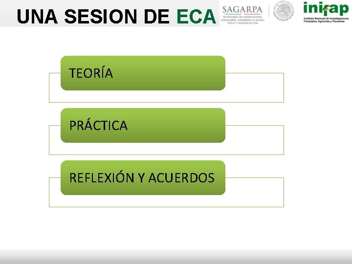 UNA SESION DE ECA TEORÍA PRÁCTICA REFLEXIÓN Y ACUERDOS 