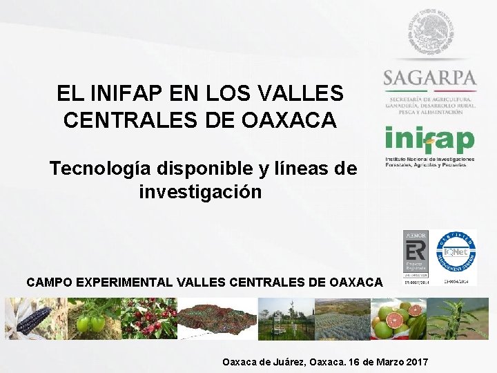 EL INIFAP EN LOS VALLES CENTRALES DE OAXACA Tecnología disponible y líneas de investigación
