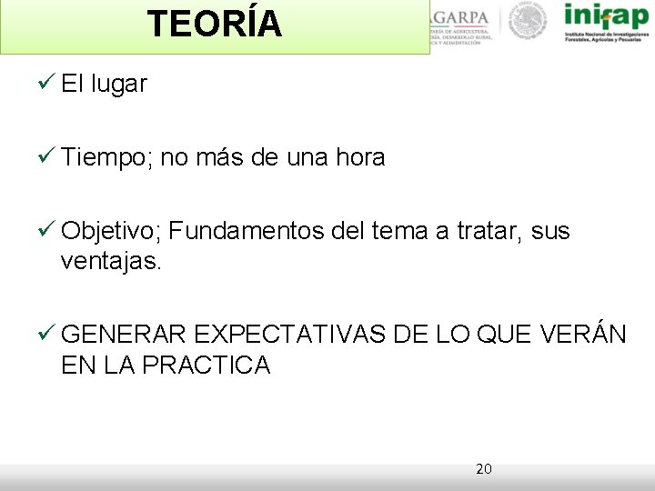 TEORÍA El lugar Tiempo; no más de una hora Objetivo; Fundamentos del tema a