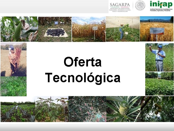 Oferta Tecnológica 