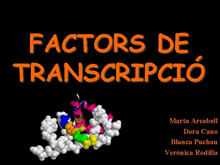 FACTORS DE TRANSCRIPCIÓ Marta Arcabell Dora Cano Blanca Puchau Verónica Rodilla 