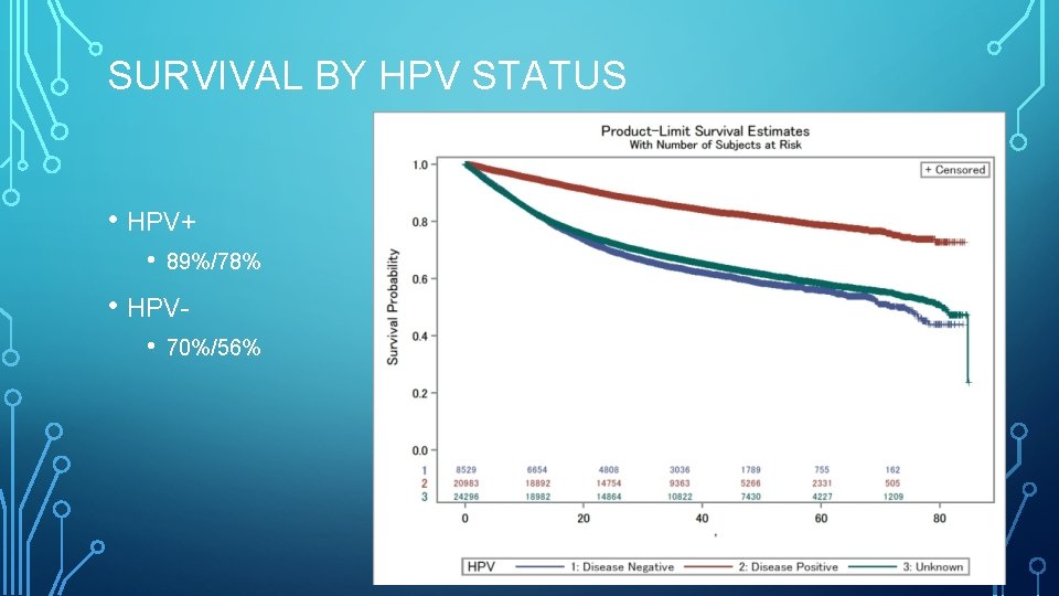SURVIVAL BY HPV STATUS • HPV+ • 89%/78% • HPV • 70%/56% 