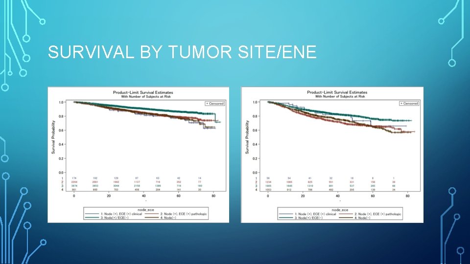 SURVIVAL BY TUMOR SITE/ENE 