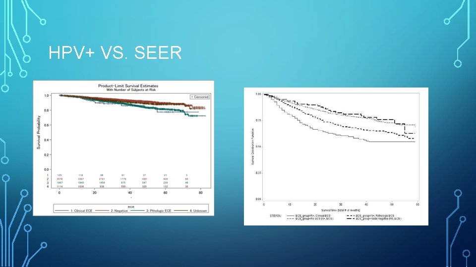 HPV+ VS. SEER 