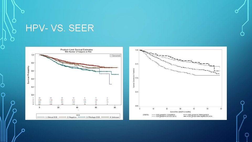 HPV- VS. SEER 
