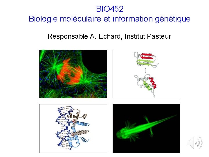 BIO 452 Biologie moléculaire et information génétique Responsable A. Echard, Institut Pasteur 