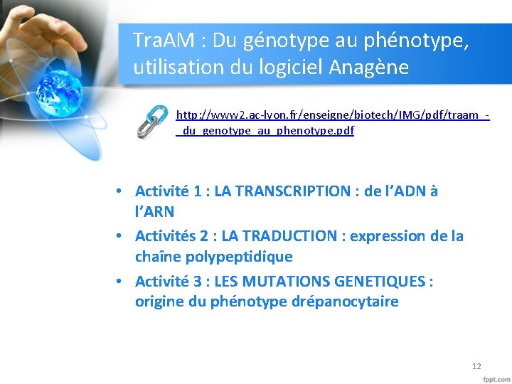 Tra. AM : Du génotype au phénotype, utilisation du logiciel Anagène http: //www 2.