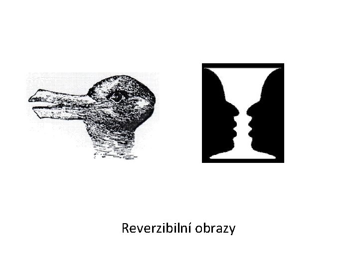 Reverzibilní obrazy 