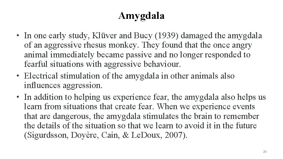 Amygdala • In one early study, Klüver and Bucy (1939) damaged the amygdala of Amygdala • In one early study, Klüver and Bucy (1939) damaged the amygdala of
