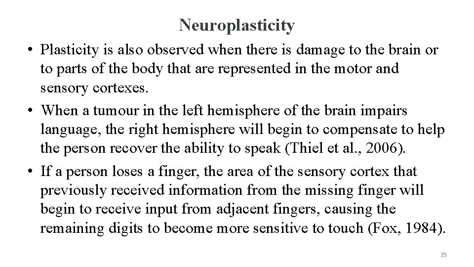 Neuroplasticity • Plasticity is also observed when there is damage to the brain or