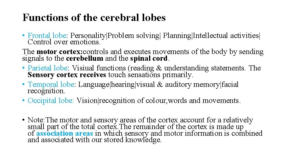 Functions of the cerebral lobes • Frontal lobe: Personality|Problem solving| Planning|Intellectual activities| Control over