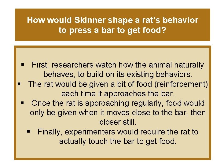 How would Skinner shape a rat’s behavior to press a bar to get food?