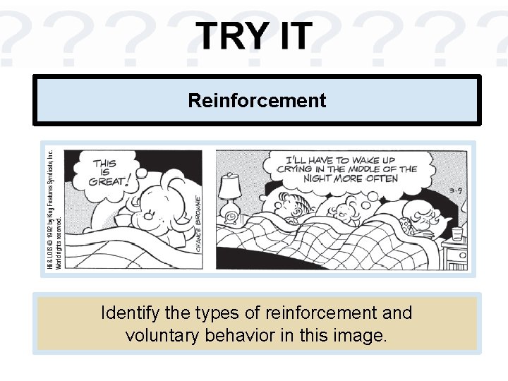 Reinforcement Identify the types of reinforcement and voluntary behavior in this image. 