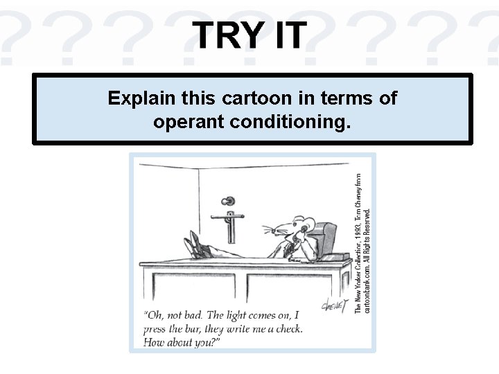 Explain this cartoon in terms of operant conditioning. 
